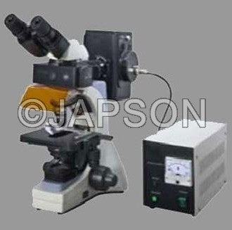 Fluorescent Microscope, Research Fluorescent Microscope, Research